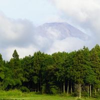 ハートランド・朝霧 - 投稿画像0