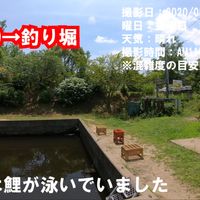 かずさオートキャンプ場 - 投稿画像3