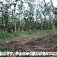 ホウリーウッズ久留里キャンプ村 - 投稿画像1