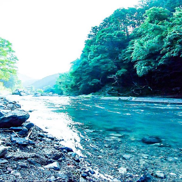 CAZUキャンプ場(カズキャンプ場) - おすすめ画像