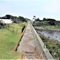 道の駅　​道の駅象潟「ねむの丘」（サキカタ） - 投稿画像1