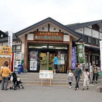 道の駅　白鷹ヤナ公園 - 投稿画像0