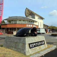 道の駅　紀宝町ウミガメ公園 - 投稿画像0