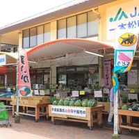 道の駅　一本松展望園 - 投稿画像1