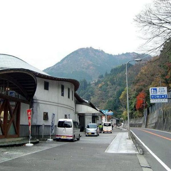 道の駅　大歩危（オオボケ） - おすすめ画像