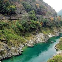 道の駅　大歩危（オオボケ） - 投稿画像3