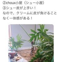 choux小屋 - 投稿画像0