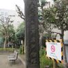 関東大震災横死者供養塔 (関東大震災) - トップ画像