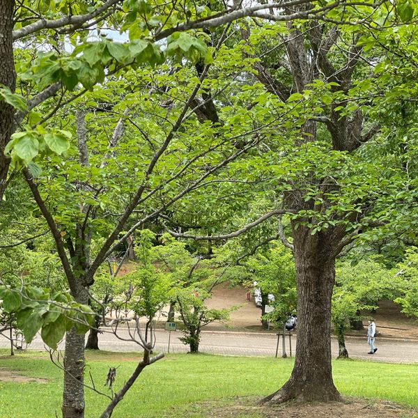 日岡山公園 育苗園 - おすすめ画像