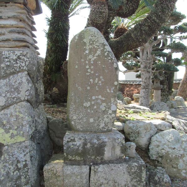 津浪流倒記 (安政東海地震) - おすすめ画像