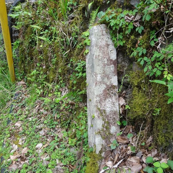 警戒碑（十津川村五百瀬） (明治22年紀伊半島大水害) - おすすめ画像