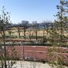 豊洲公園 - トップ画像