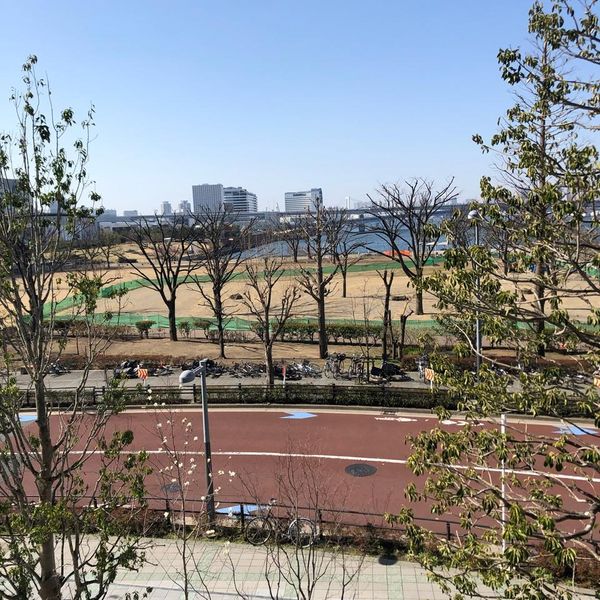 豊洲公園 - おすすめ画像