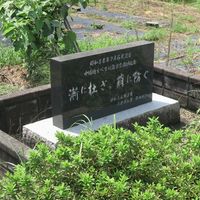 漸に杜ぎ、萠に防ぐ（ぜんにふさぎ、ぼうにふせぐ） (昭和58年7月豪雨) - 投稿画像0