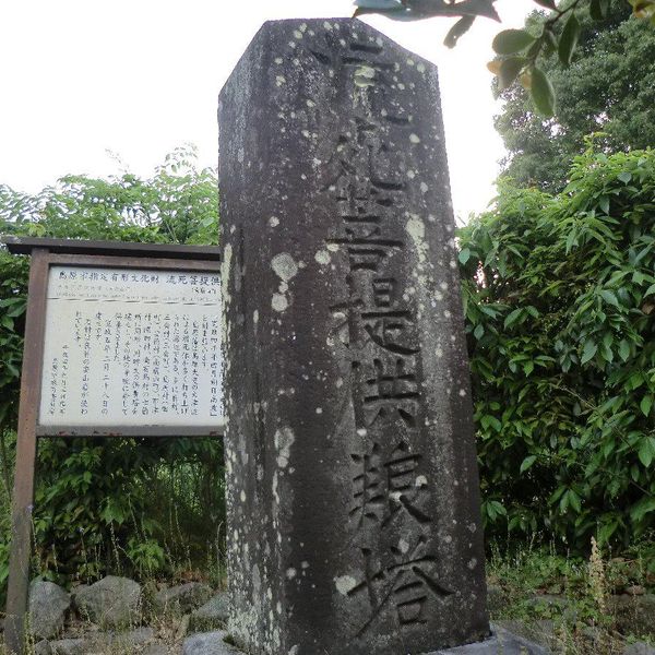 流死菩提供養塔 (眉山崩壊) - おすすめ画像