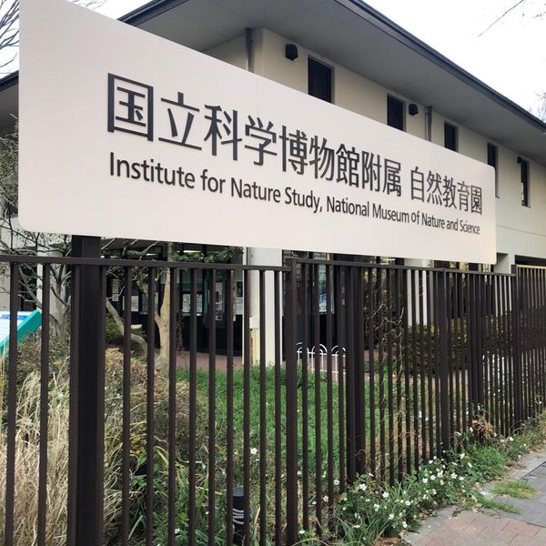 国立科学博物館附属自然教育園 - トップ画像