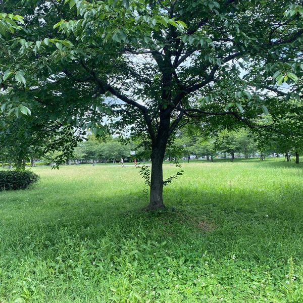 舎人公園サービスセンター - おすすめ画像