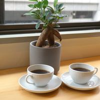 cafe ginkgo(カフェ・ジャンコ) - 投稿画像3