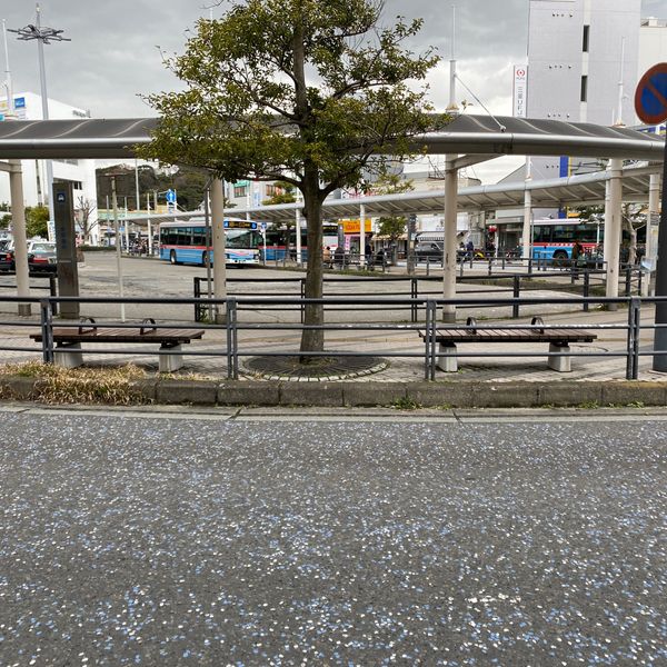 逗子駅前ロータリーベンチ - トップ画像