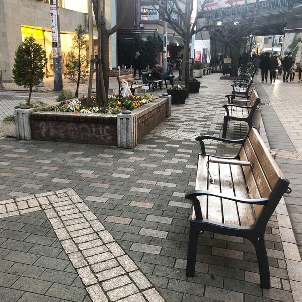 自由が丘駅南口緑道ベンチ - おすすめ画像