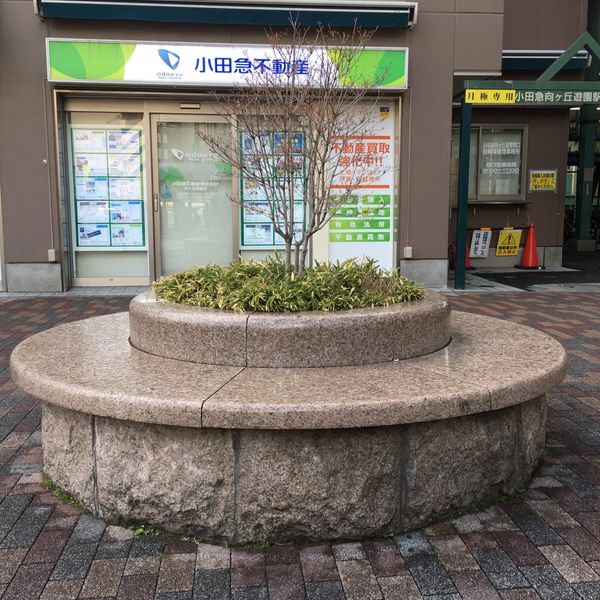 向ヶ丘遊園南口ベンチ - トップ画像