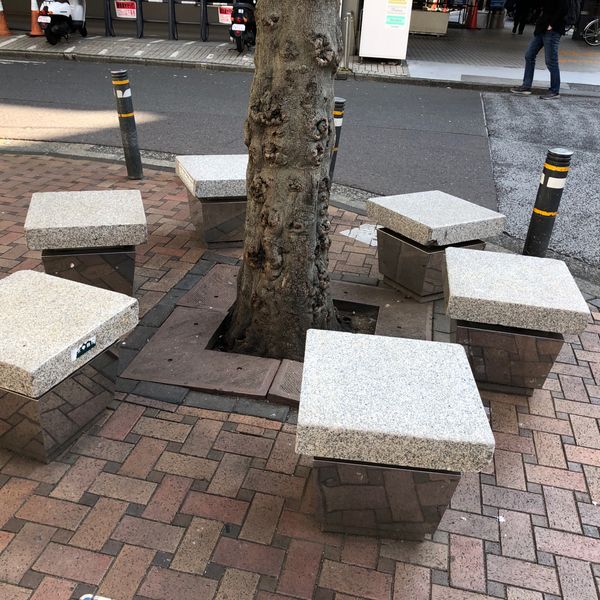 三軒茶屋駅スタバ前のベンチ - おすすめ画像