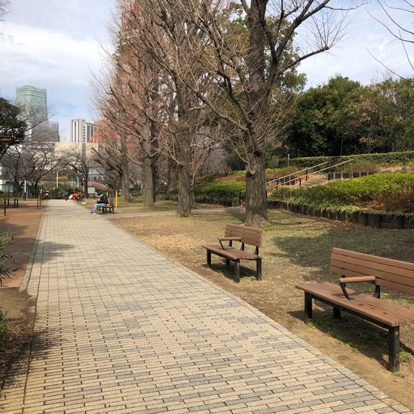 東京タワー見える健康歩道ベンチ - おすすめ画像