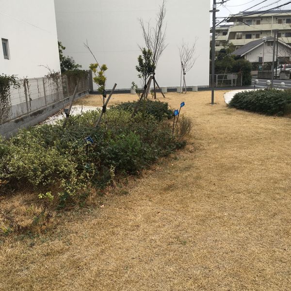 調布消防署向かい電気通信大学寮横ベンチ - おすすめ画像