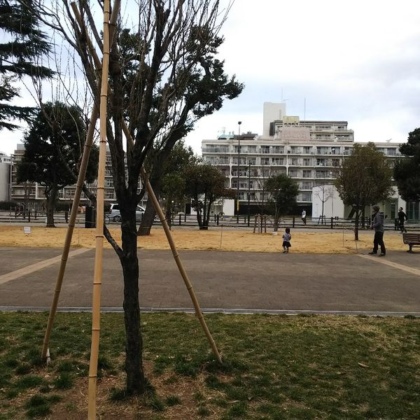 中野四季の森公園北口ベンチ - トップ画像