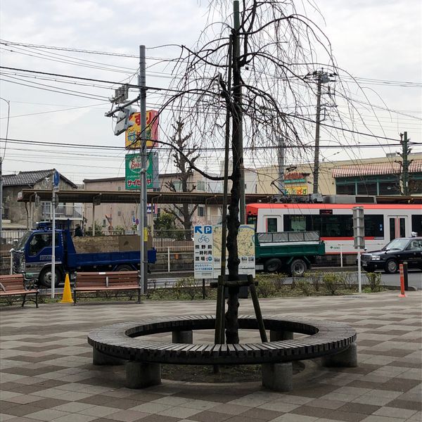 熊野前駅前広場のベンチ - おすすめ画像