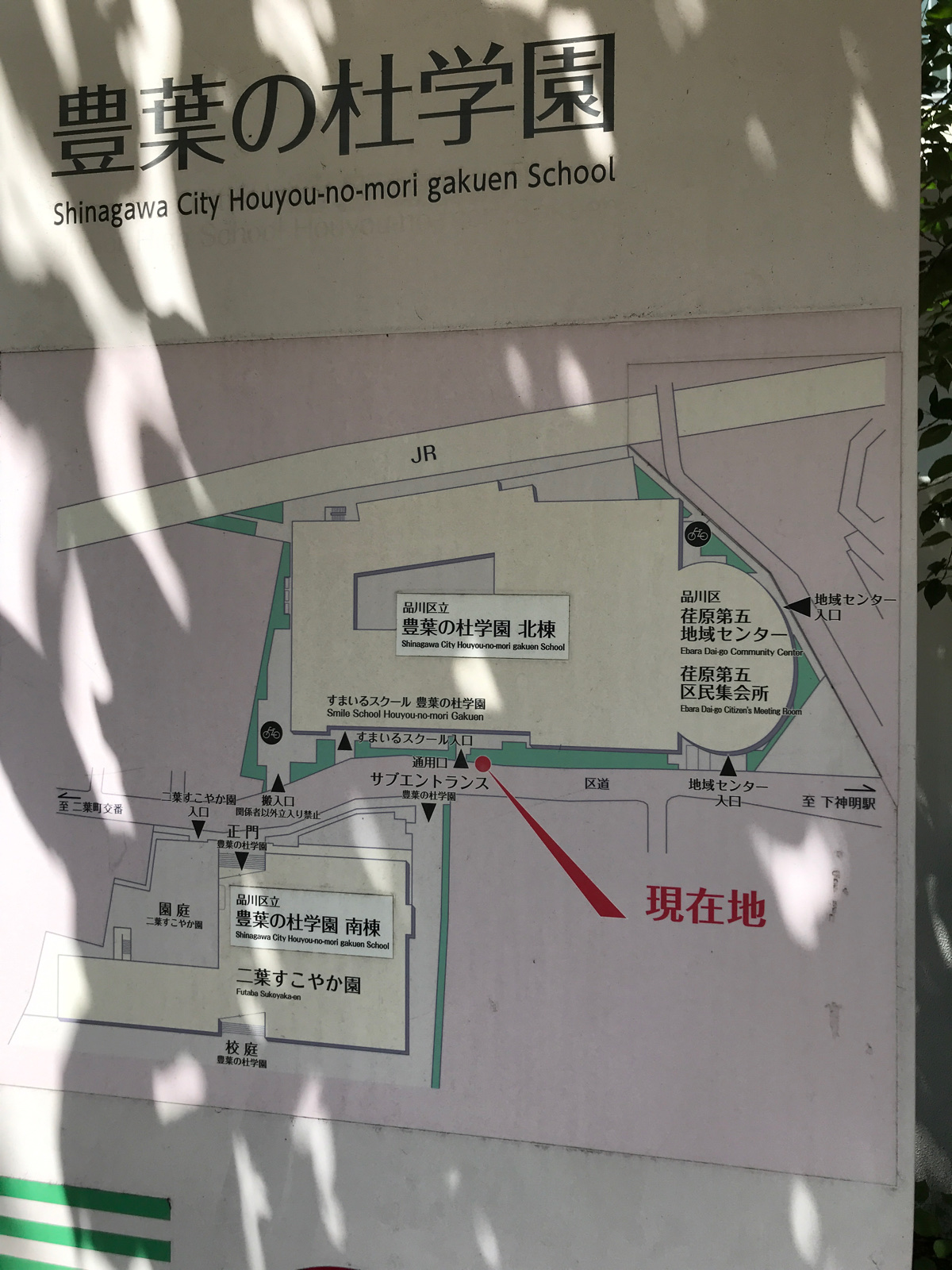 活動歴および当時の関連ビジュアル記録