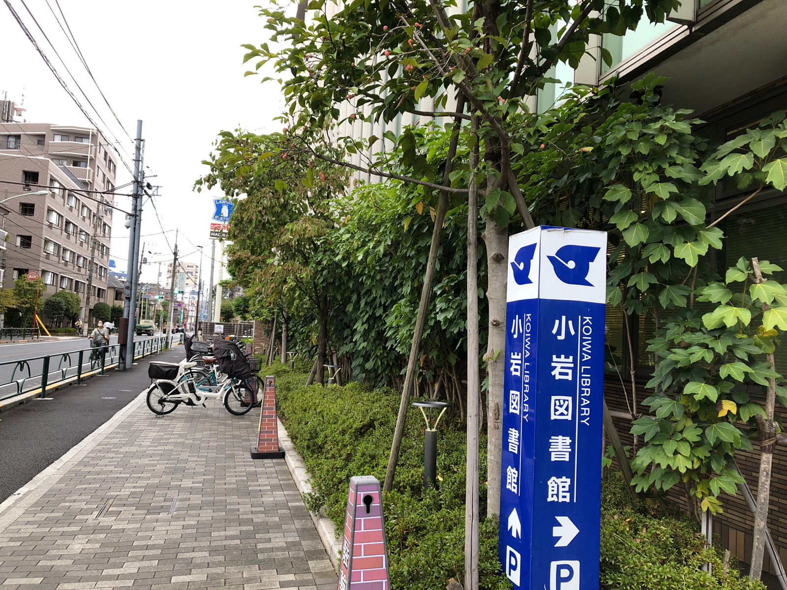 江戸川区立 小岩図書館（図書館） | MEQQE（めっけ）