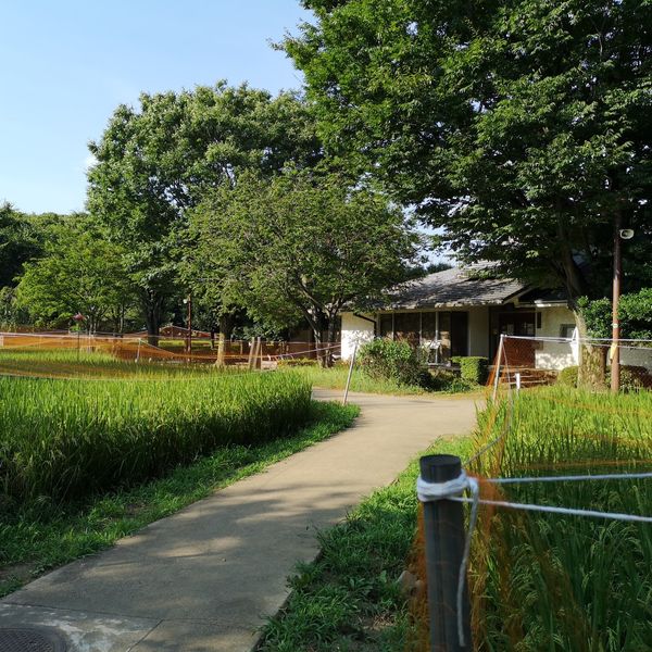 次大夫堀公園民家園 - トップ画像