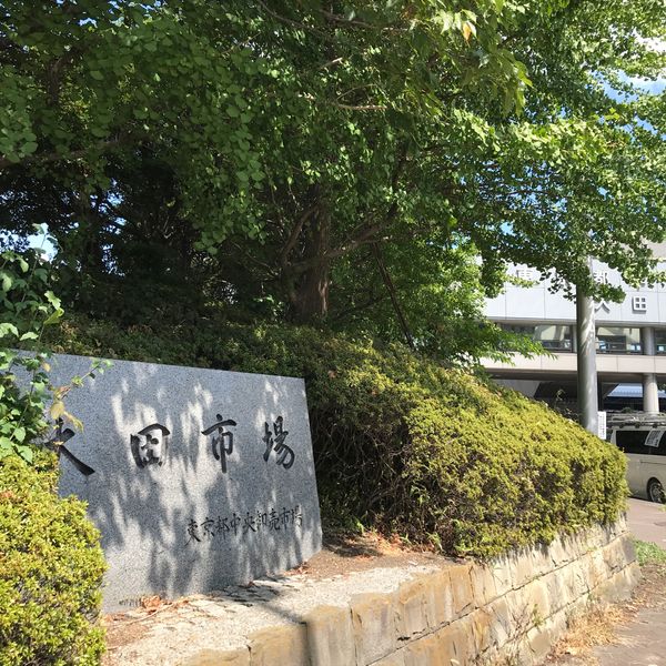 大田市場 市場見学 - トップ画像