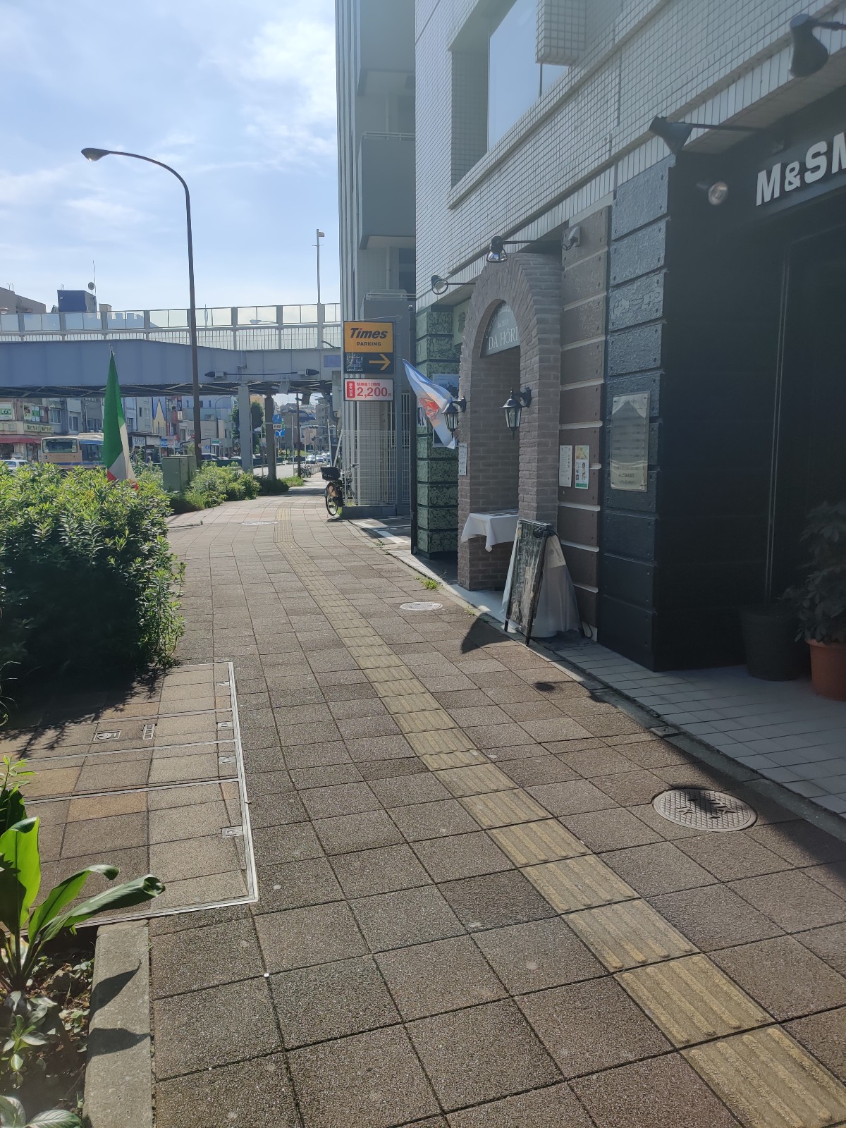 桜橘 京高木高 グレー