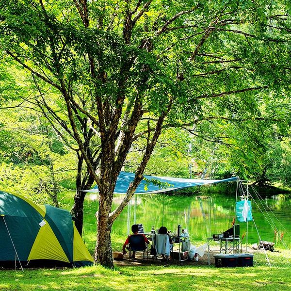 駒出池キャンプ場 - おすすめ画像