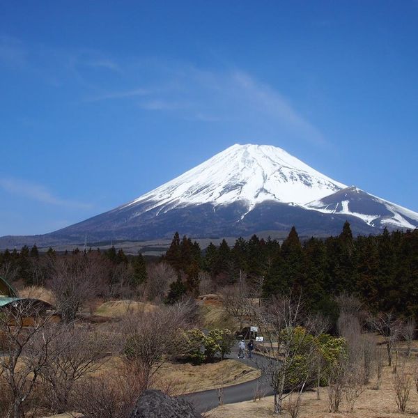 カントリーベアーファミリーキャンプ場 - おすすめ画像