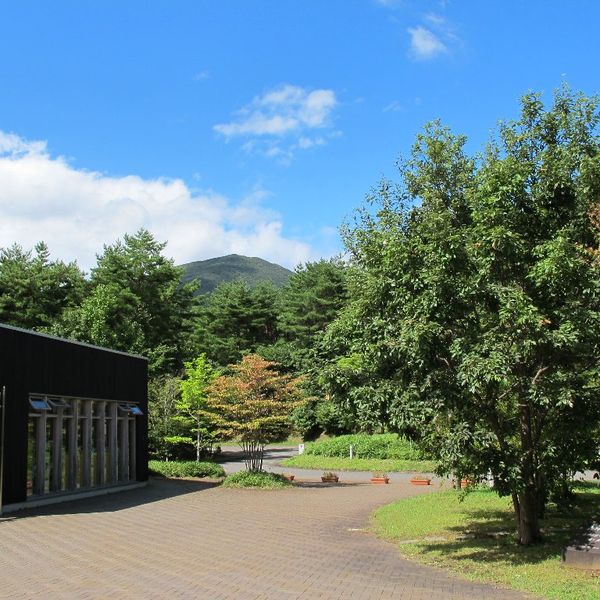 ふくしま県民の森フォレストパークあだたら - おすすめ画像