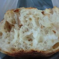 パンのマグ - 投稿画像3