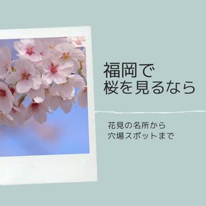 福岡で桜を見るなら　〜お花見の名所から穴場スポットまで〜 - メイン画像