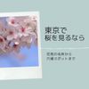 東京で桜を見るなら　〜お花見の名所から穴場スポットまで〜 - メイン画像