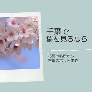 千葉で桜を見るなら　〜お花見の名所から穴場スポットまで〜 - メイン画像