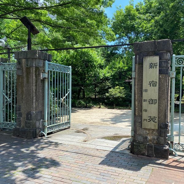 新宿御苑ピクニック☀︎元百貨店バイヤーおすすめテイクアウト - メイン画像