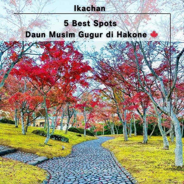 5 Best Spots Daun Musim Gugur di Hakone 🍁 - メイン画像