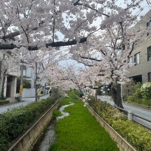 桜新町から用賀のおすすめグルメとお散歩スポット - メイン画像