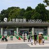 東京マラソン2023コース周辺みどころ【上野・秋葉原】 - メイン画像