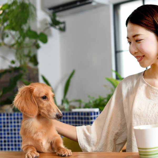 愛犬と一緒に！海老名・厚木エリアのペットOK飲食店12選 - メイン画像