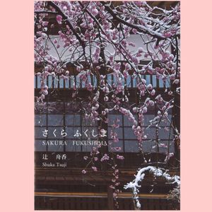 桜で福島の復興応援 🌸さくら ふくしまマップ - メイン画像