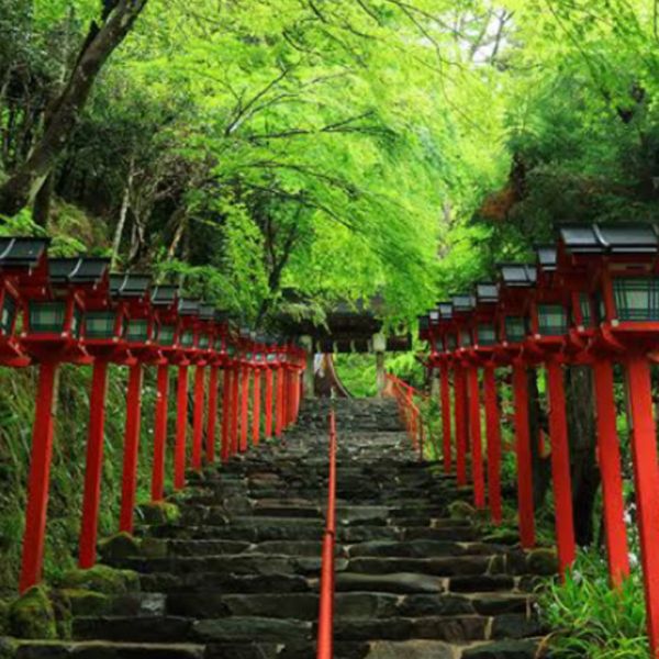 一度行ってみたくなるお寺、神社、大社　大阪 - メイン画像