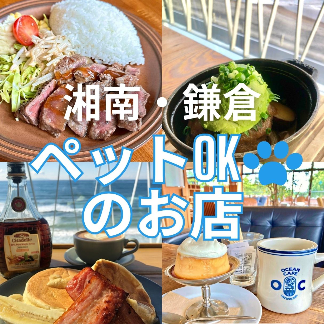 鎌倉 ペット ランチ